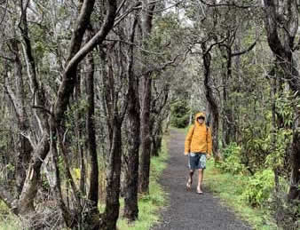 Hiking the Halema’uma’u trail